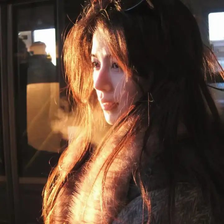 野探哈莉第四季