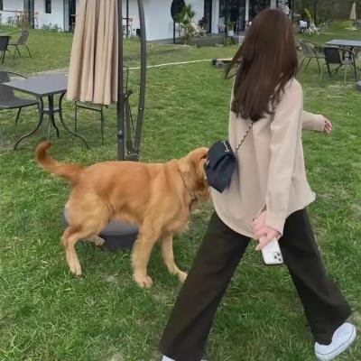 贤者之爱